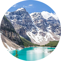 Certified Ingredients